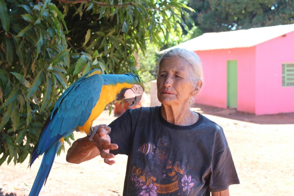 Dona Laura, a benzedeira mais famosa de Goiás