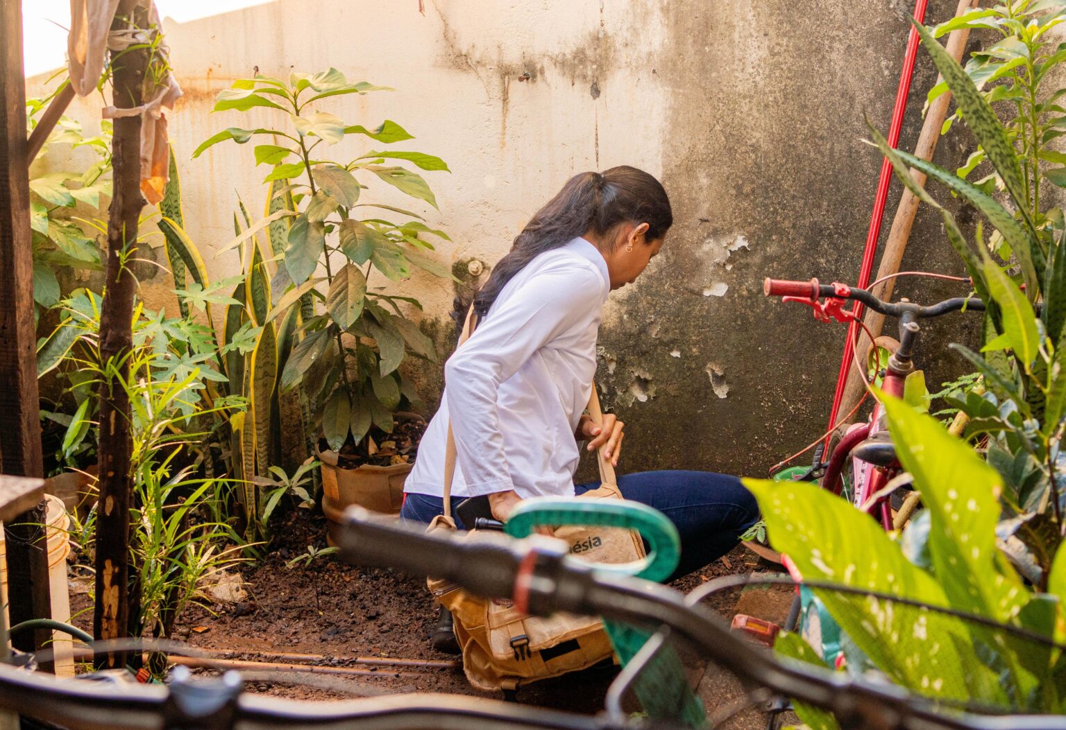 Goianésia registra redução de 88% nos casos de dengue após ações de prevenção da Prefeitura